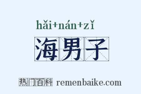 海男子是什么意思的图片